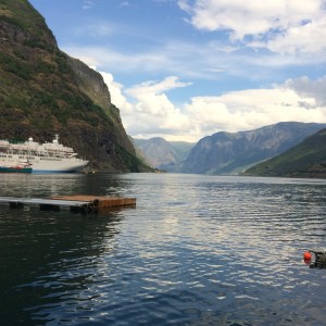 Ut Aurlandsfjorden